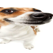 Kega
