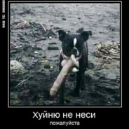 опездол василий