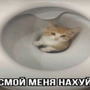 _shapler_