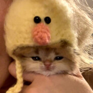 8035