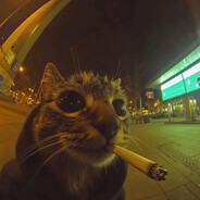 чипсакартон