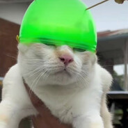 K1T