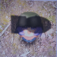 zxcrunner
