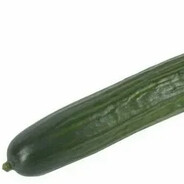 огурец#melonrust