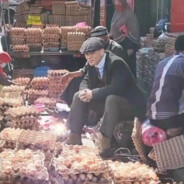 капуста