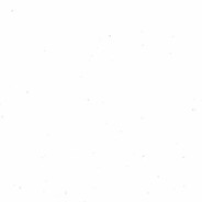 SSG | zagir