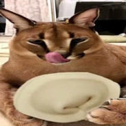 Neko
