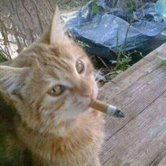 Тёмный Прыщ