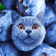 BlueBerryCat