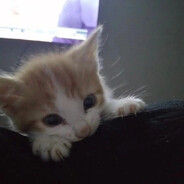 pinkyy