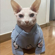 ПИСЬКА:3♡