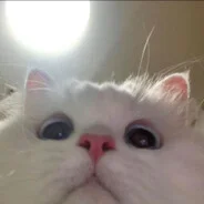 i &lt;​​3 u | Fiikus