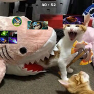 eet