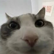 Liwen0_0