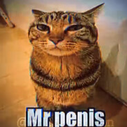 Mr.Pen1s