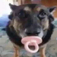 Шашлык