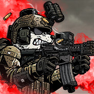 [SDI]Wer3xx