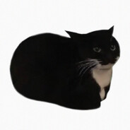 mxwllcat