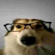 Максим кириешка