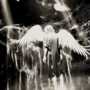 heaven`sfeel
