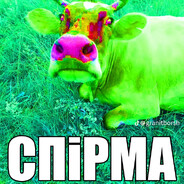 ГАВКОШМЫГ