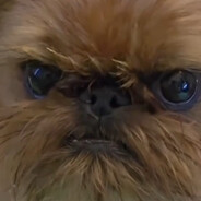 алексей рампага