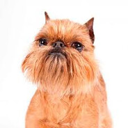 Денис эхослем