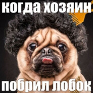 ебырь твоей мамы