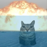 (adsw) кошак¹⁴¹