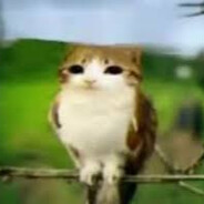 WW | Meowl #LuxorRust