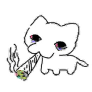 Shabudka
