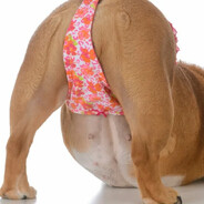 ВИТЯ AK-47 #bloodrust