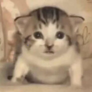 snegr