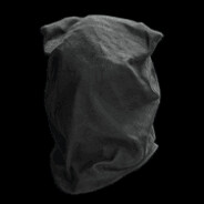The prisoners bag