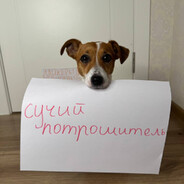 сучий потрошител