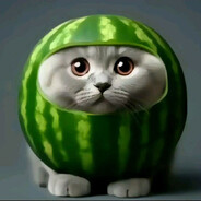 meow
