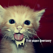 СmЕтАнКа