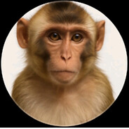 LehaMonkey