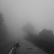 小馬