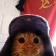 skalapups