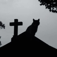 лазер в коляску