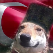 Milliyetçi Köpek