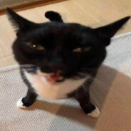 ded