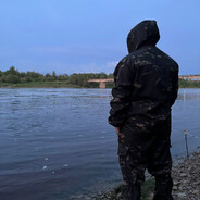 Бородатый ежик