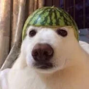 大sunderfff大
