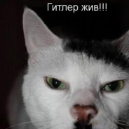 ЯНА ЦИST
