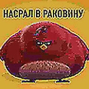 Brakkov