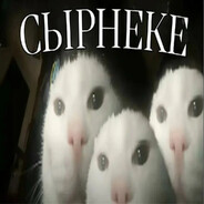 SrInk