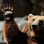 [paw]kyler