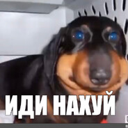 eoka